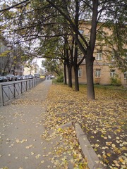 DSC01347.JPG