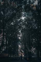 1000261781