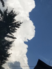 4020154