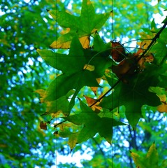 0C569E60-F9AE-4FFC-81DF-E98EA633ED41/L0/001