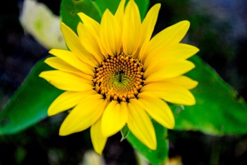 328B5E4F-5F8E-459E-90A3-4EF04ED4043C/L0/001