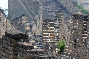 _MG_5446-L