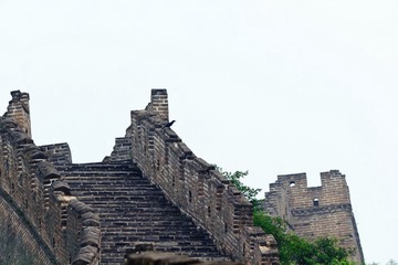 _MG_5448-L