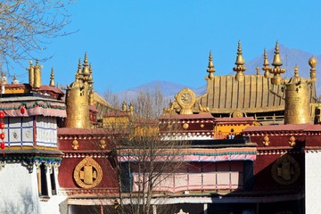 _MG_6206.jpg