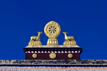 _MG_6548.jpg