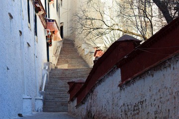 _MG_7156.jpg
