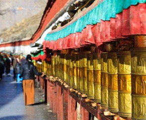 _MG_5904.jpg