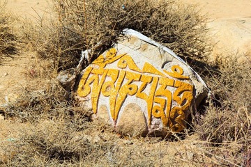 _MG_7075.jpg