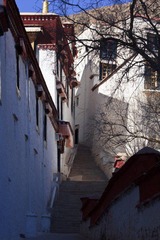 _MG_7154.jpg