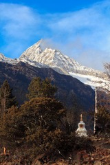 _MG_7537.jpg