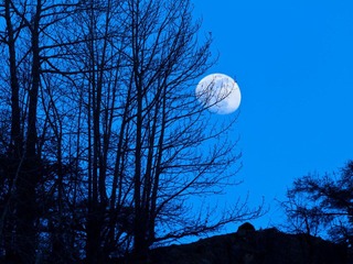 _MG_7906.jpg