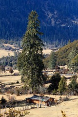 _MG_8033.jpg