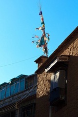 _MG_9308.jpg
