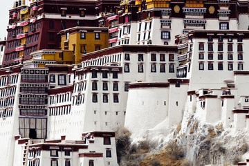 _MG_9319.jpg