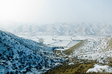 IMG_5422.jpg