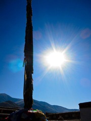 IMG_7735.jpg