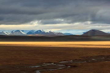 _MG_7471.jpg