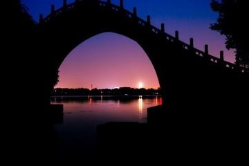 IMG_0449-L