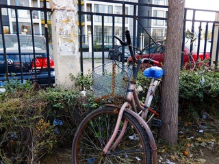 IMG_0271-L