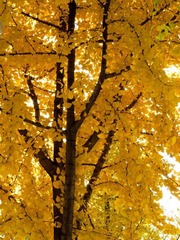 IMG_0319-L