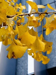 IMG_0348-L