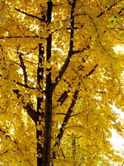 IMG_0319-L-3