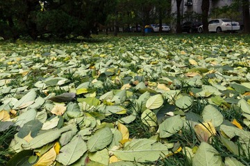 IMG_0498-L