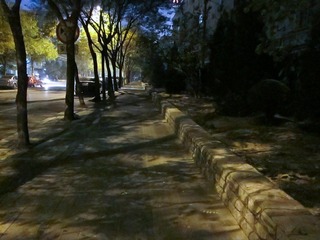 IMG_0610-L