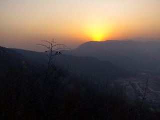 IMG_0906-L