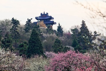 _MG_2229-L
