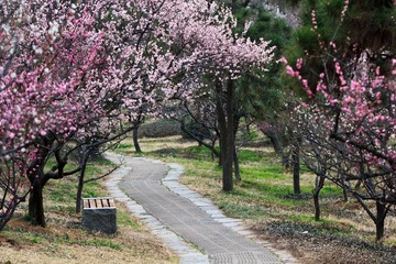 _MG_2237-L