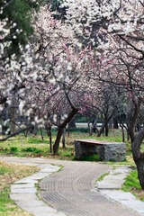 _MG_2240-L