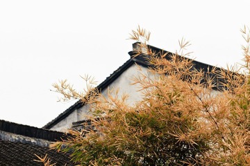 _MG_2321-L-2