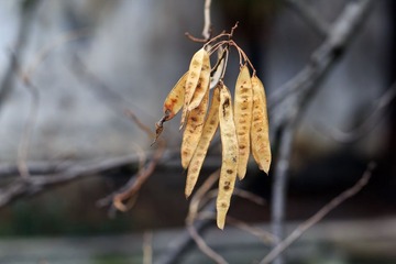 _MG_2328-L