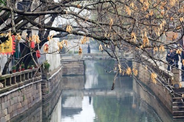 _MG_2331-L