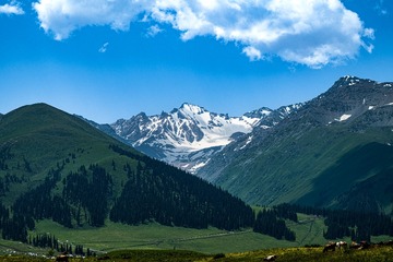 119907