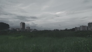 11314