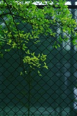8B723922-96CE-4474-AB66-C884AE382DC0/L0/001