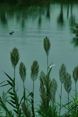AD60E1D0-0F56-4925-993C-6CCED4C2414A/L0/001
