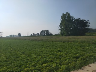 2246252