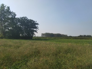 2246251