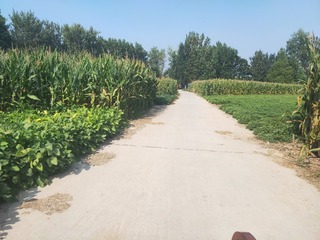2246250