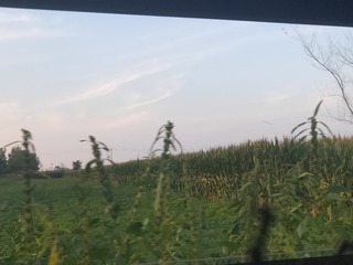 2236866