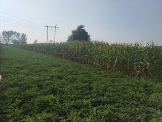 2246259