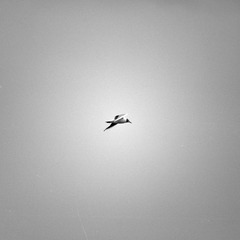 1000201507
