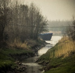 _PAN0568