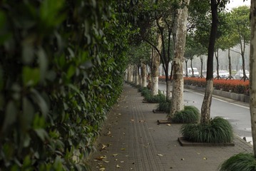 _PAN0799
