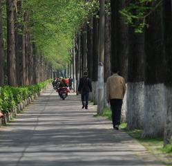 LIY_19322
