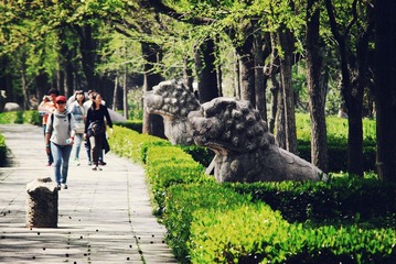 LIY_1989_