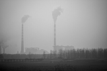 LIY_1739